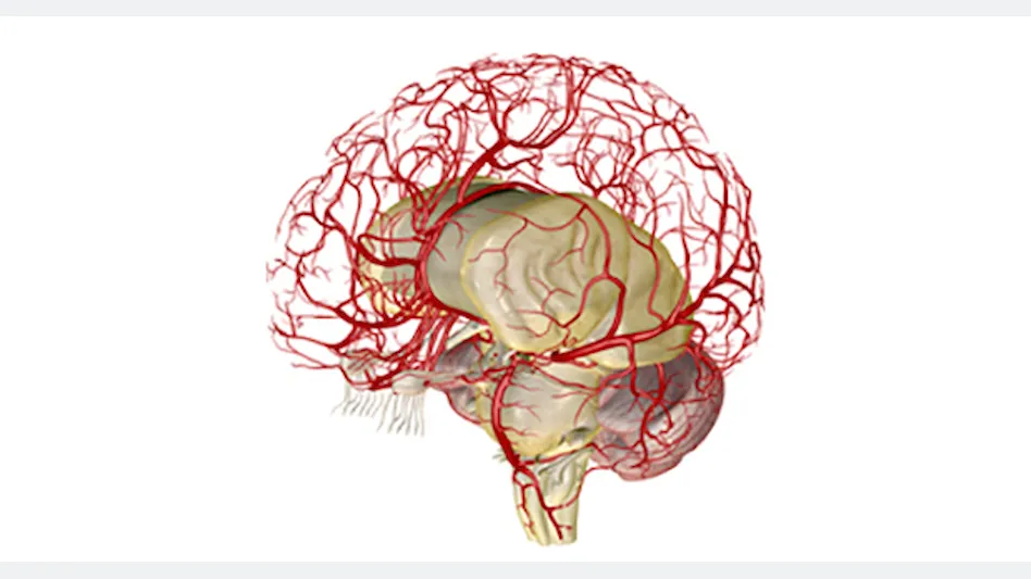 Neurovascular Market to Benefit from Fast-paced Technology - Brain