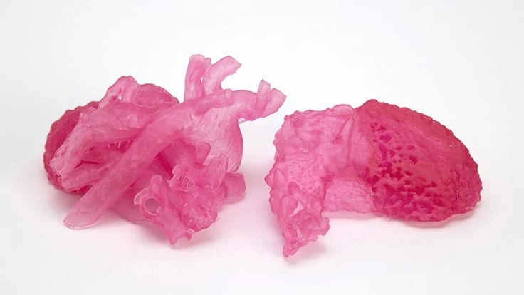 Application example of the collaboration of Henkel and NewPro3D: soft tissue anatomical model of a heart