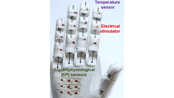 A medical robotic hand is just one potential application for the rubbery electronics reported by researchers.