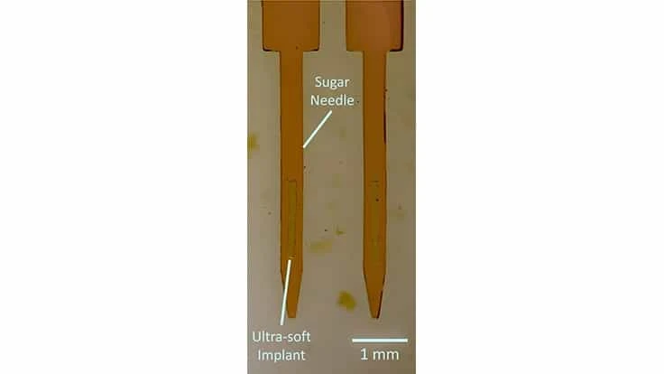 When surgically inserted into the brain, the sugar needle carried the implant to the right location, and dissolved within seconds, leaving the delicate implant in place.