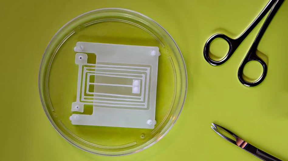 MIT engineers have developed a new spring (shown in petri dish) that maximizes the work of natural muscles. when living muscle tissue is attached to posts at the corners of the device, the muscle’s contractions pull on the spring, forming an effective, natural actuator. The spring can serve as a “skeleton” for future muscle-powered robots.