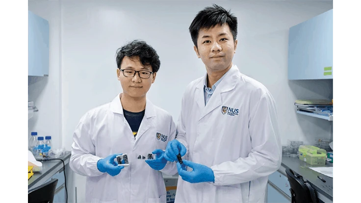 NUS Assistant Professor Chen Po-Yen (right) and doctoral student Yang Haitao (left) are holding the new metallic material for soft and flexible robots.